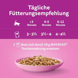 WHISKAS Junior Bustine di Alimenti Umidi, Confezione Multipla, Selezione di Carne di Pollame in Gelatina, 12 x 85g