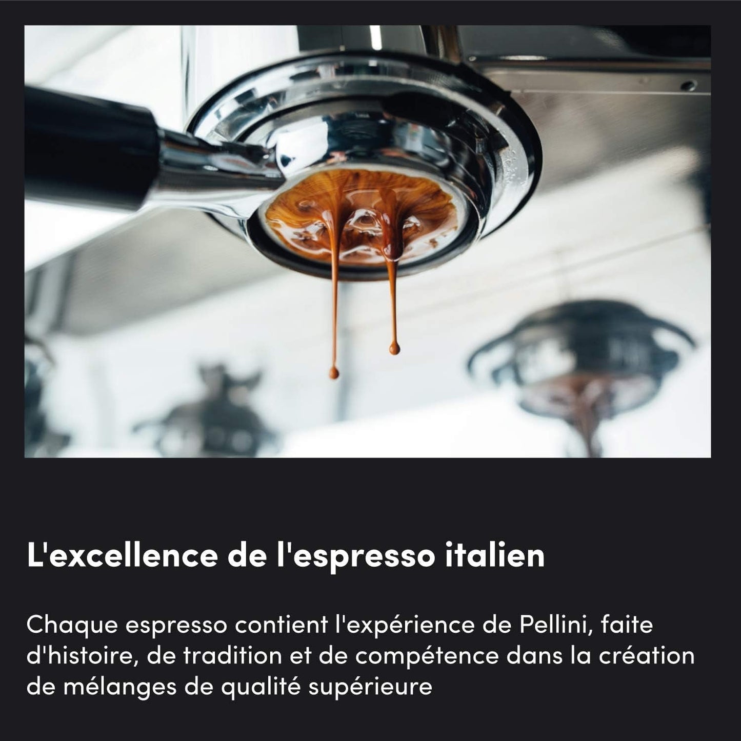 pellini Nr. 82 Caffè Vivace in grani 500 g