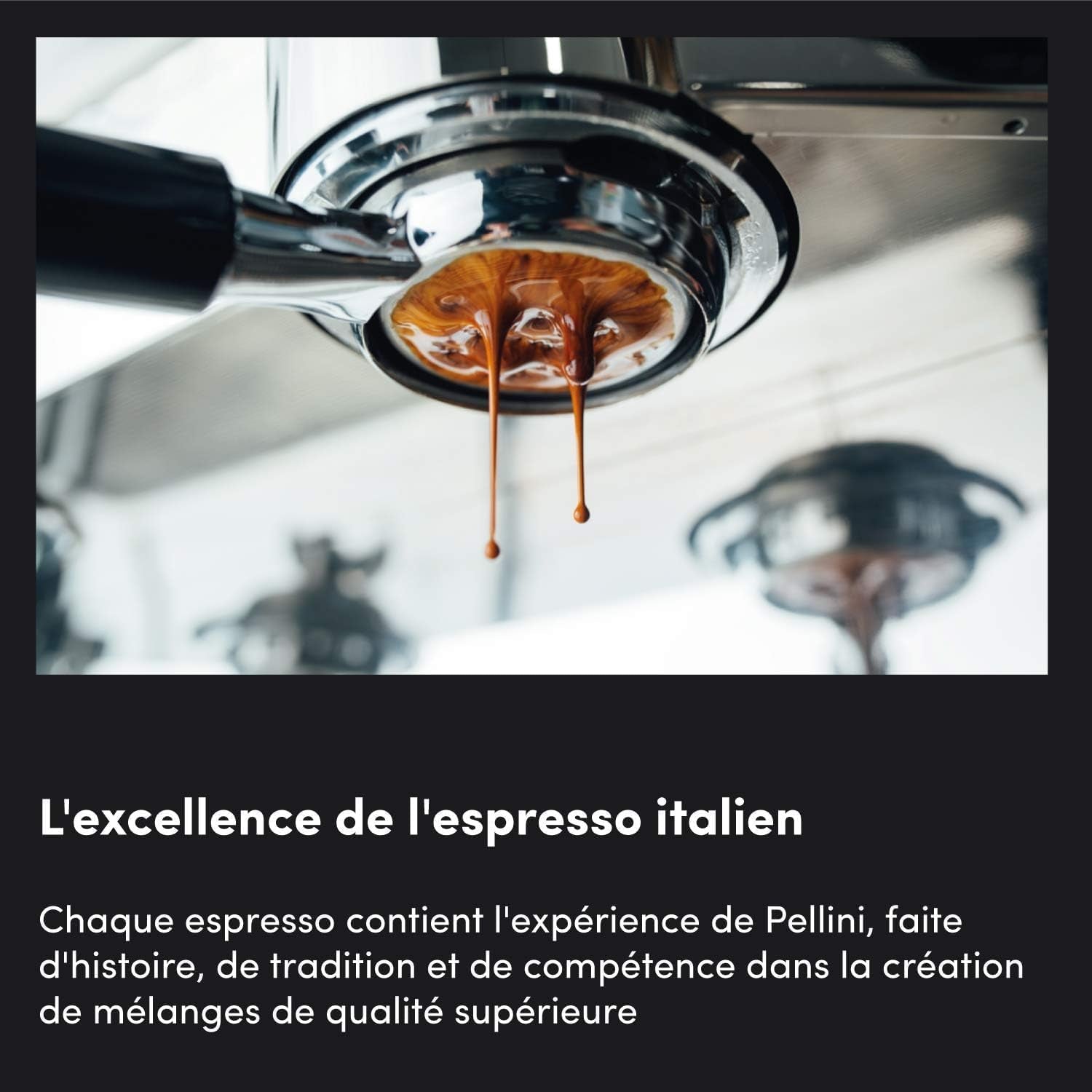 pellini Nr. 82 Caffè Vivace in grani 500 g