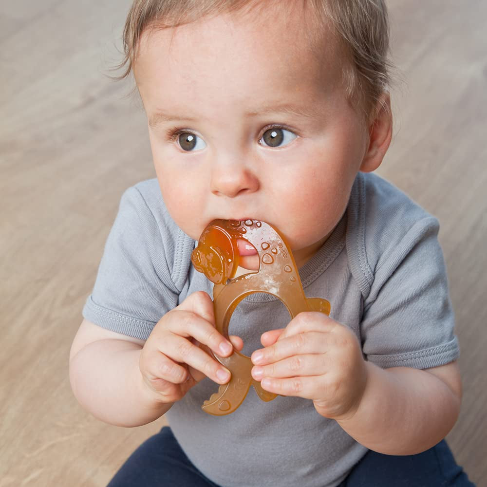 GRÜNSPECHT Anello da dentizione in caucciù naturale biologico per la dentizione dei bambini, massaggia le gengive, senza BPA, morbido, favorisce la motricità fine, modello dinosauro (639-V1)