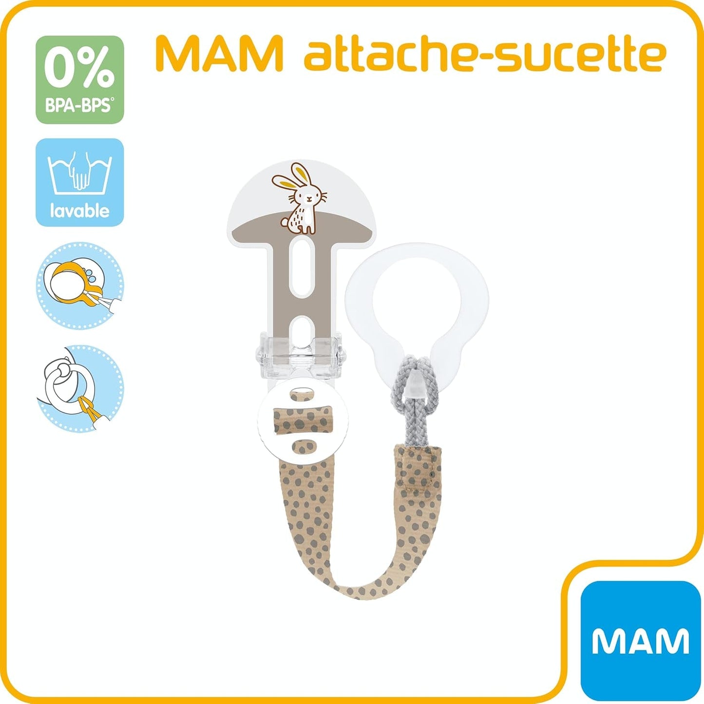 Piante grasse miste MAM per tutte le età - colore casuale - istruzioni in francese.