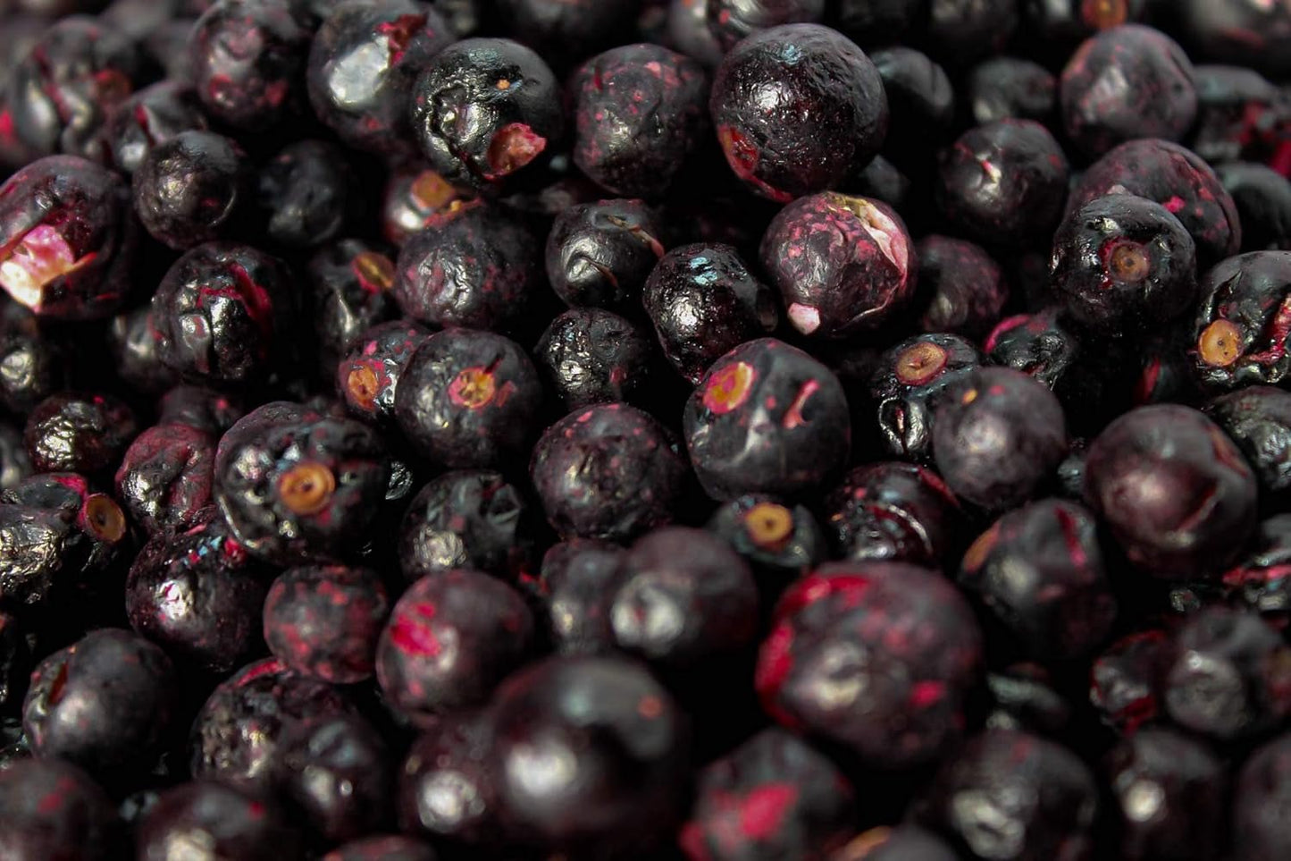 Ribes nero liofilizzato 250g - Frutta liofilizzata - Frutta secca liofilizzata - Ribes nero essiccato per cottura al forno, muesli, decorazione torte, dessert Prodotti disidratati Naty Shop