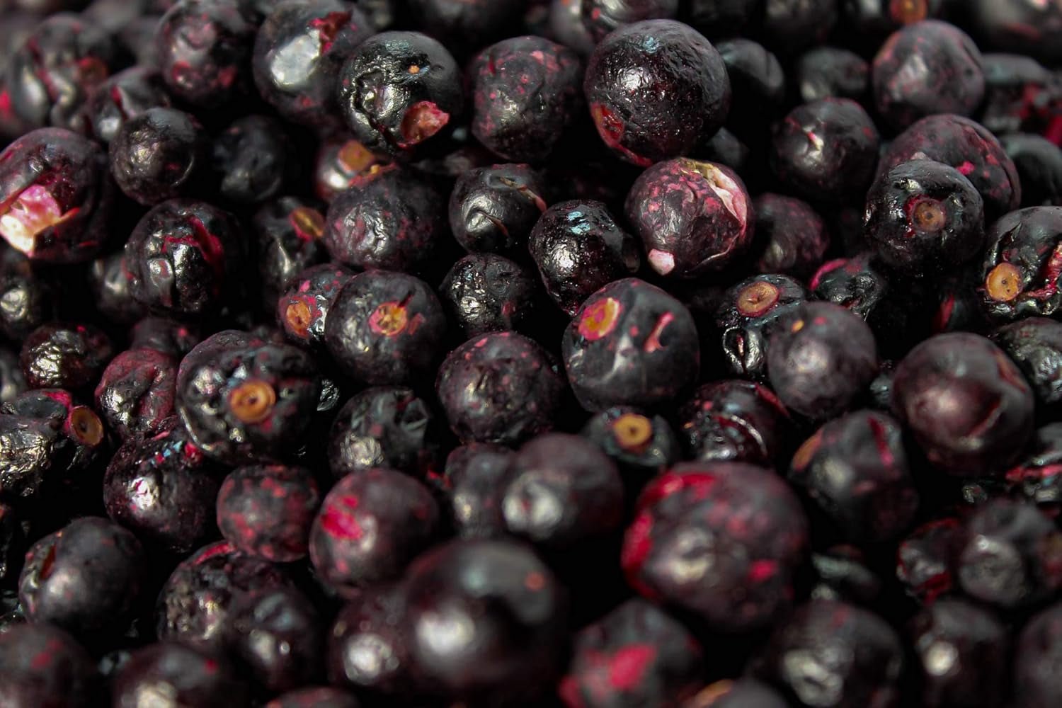 Ribes nero liofilizzato 250g - Frutta liofilizzata - Frutta secca liofilizzata - Ribes nero essiccato per cottura al forno, muesli, decorazione torte, dessert Prodotti disidratati Naty Shop