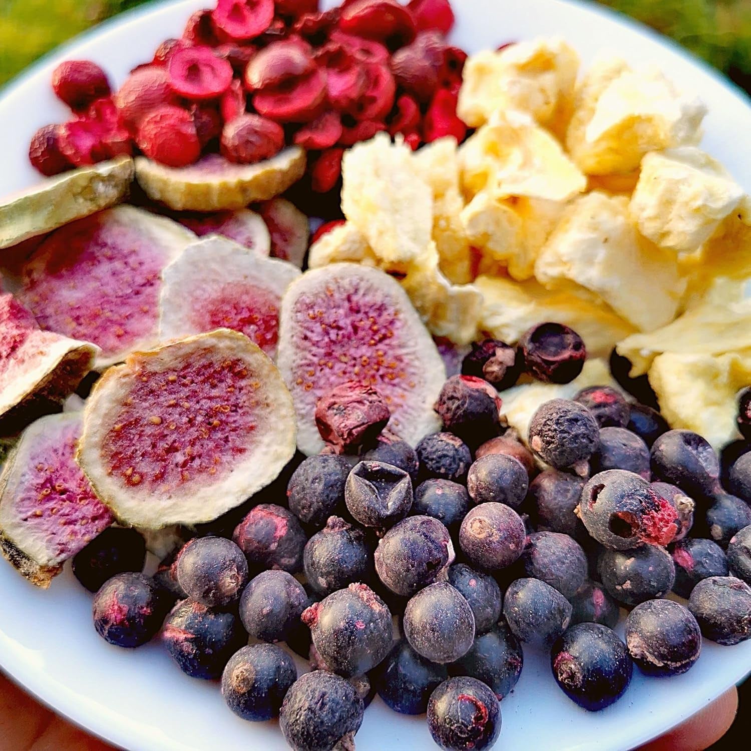 Ribes nero liofilizzato | Ribes essiccato naturale al 100% | Senza zuccheri aggiunti Dolci liofilizzati salutari | Frutta liofilizzata Frutta liofilizzata Prodotti disidratati Naty Shop