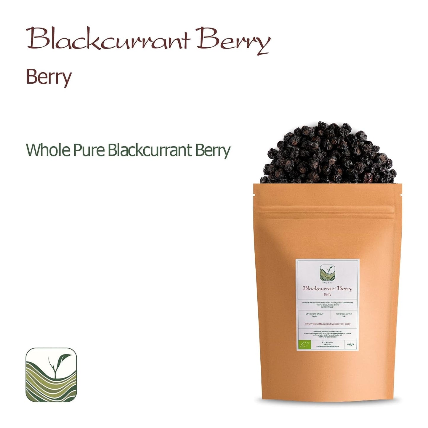 Ribes nero non zuccherato biologico - Ribes essiccato Bacche fruttate - ideali per cuocere al forno Ribes Lamponi Tè Ribes nero Ribes nero essiccato Prodotti disidratati Naty Shop