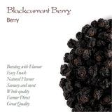 Ribes nero non zuccherato biologico - Ribes essiccato Bacche fruttate - ideali per cuocere al forno Ribes Lamponi Tè Ribes nero Ribes nero essiccato Prodotti disidratati Naty Shop