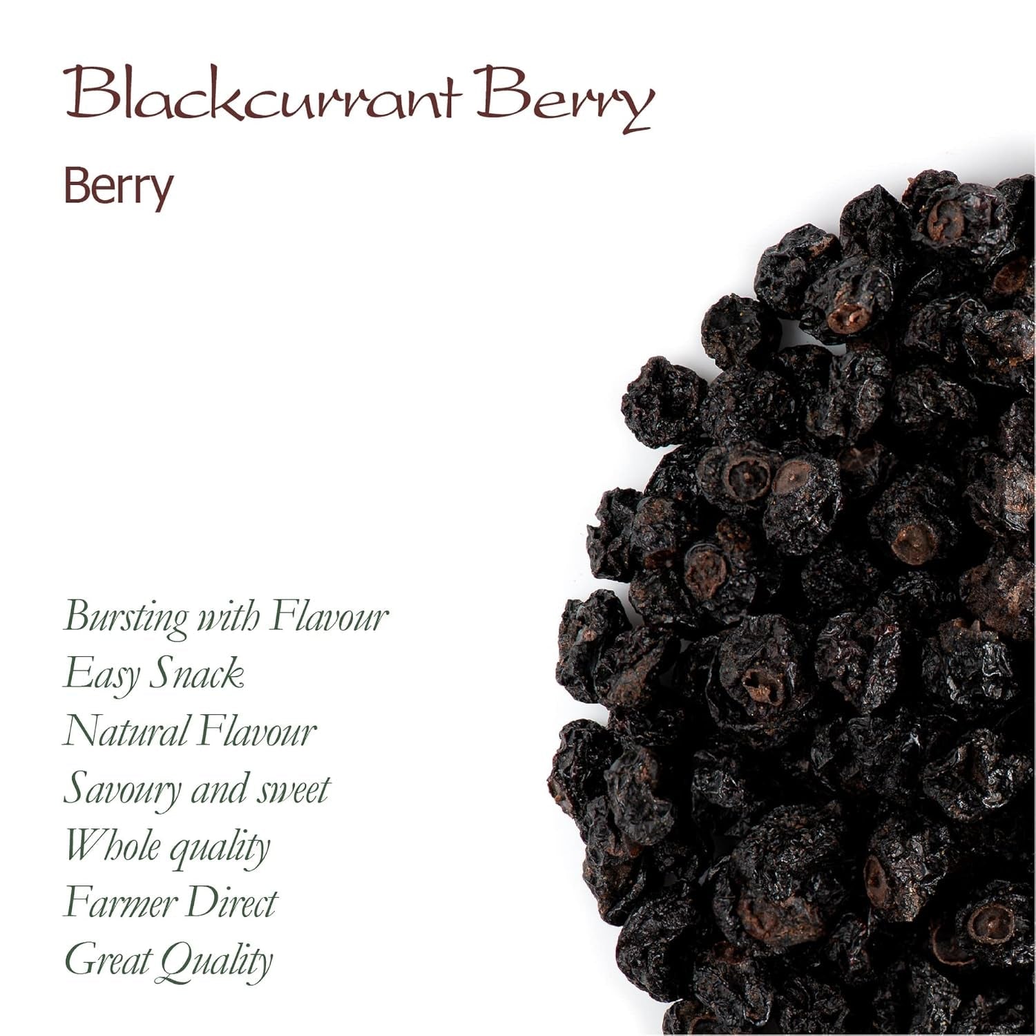 Ribes nero non zuccherato biologico - Ribes essiccato Bacche fruttate - ideali per cuocere al forno Ribes Lamponi Tè Ribes nero Ribes nero essiccato Prodotti disidratati Naty Shop