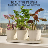 Set di 3 bellissimi vasi da giardino per erbe aromatiche, perfetti per qualsiasi davanzale o bancone della cucina, un moderno set di fioriere decorative da giardino che include vassoio e...