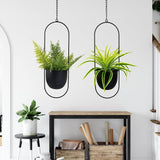 Vasi da fiori sospesi in metallo 2 pezzi Appendiabiti geometrico ovale nero con vasi Fioriera moderna da parete e soffitto Vasi da fiori da 15,2 cm per interni ed esterni 2 pezzi
