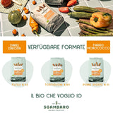 Penne Rigate Biologiche N.91 - 500g Pasta di grano magro - Fonte di fibre e proteine