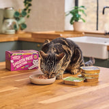 Lily's Kitchen Cibo naturale umido per gatti per gatti adulti, vassoi, ricette senza cereali, assortimento (32 vassoi x 85 g)