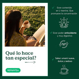 Tè verde giapponese Gyokuro biologico (100 g) | Tè sfuso premium | Gusto umami raffinato e dolcezza delicata | RIPIANTARE