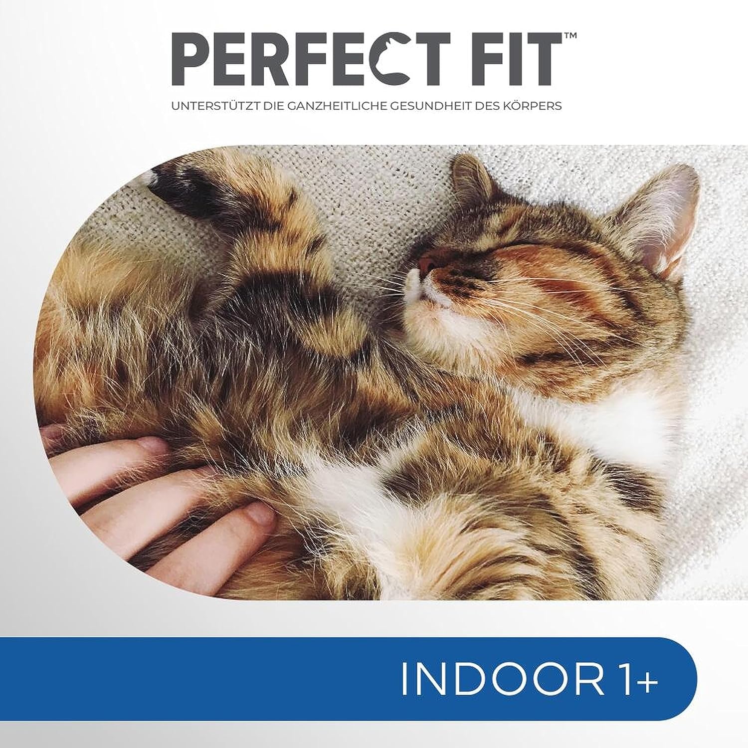 PERFECT FIT™ Buste per gatti, indoor, con pollo, 12 x 85 g
