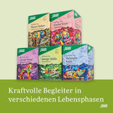 Salus - Krafttier Tea - Brave Dragonfly - 1X 15 sacchetti filtro (24g) - Tisana al gusto di limone - Con erba di San Giovanni - Aromatizzata - Bio