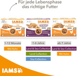 IAMS Delights Land Collection Cibo umido per gatti - Confezione multipla con varietà di carne (agnello, manzo, pollo e tacchino) in salsa, cibo umido per gatti da 1 anno, 12 x 85g