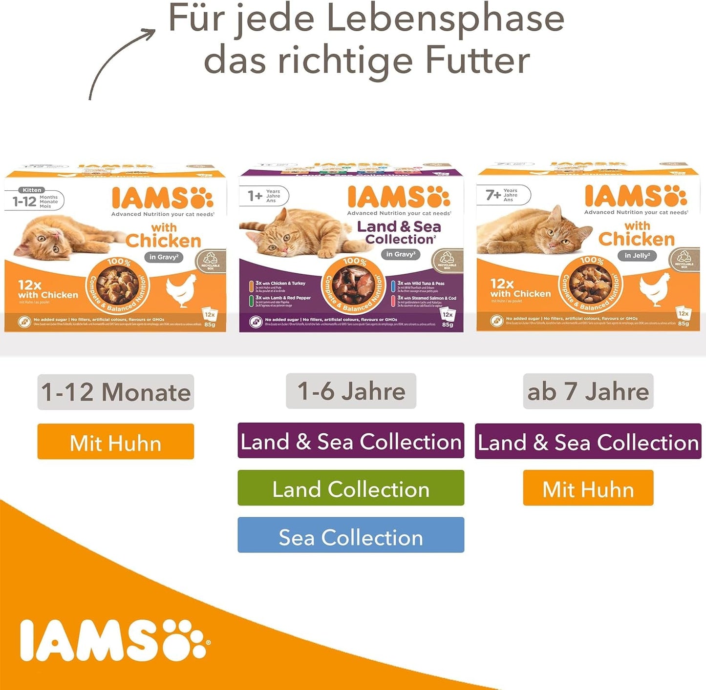 IAMS Delights Cibo umido per gatti anziani - Confezione multipla con pollo e pesce in salsa, cibo umido di alta qualità per gatti di età superiore a 7 anni, 12 x 85g