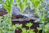 Raccordo a T Gardena Micro-Drip-System per ugelli spruzzatori: collegamento tra tubi da 13 mm e un ugello spruzzatore, irrigazione automatica delle piante, tecnologia di collegamento semplice e veloce, riutilizzabile (13206-20)