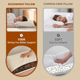 LOFE Cuscino per Dormire in Grano Saraceno Biologico 14"X 20" Regolabile Traspirante per il Sonno Fresco Supporto cervicale per chi dorme sulla schiena e sul fianco (scafi di grano saraceno tartaro) Naty Shop Cuscini Standard