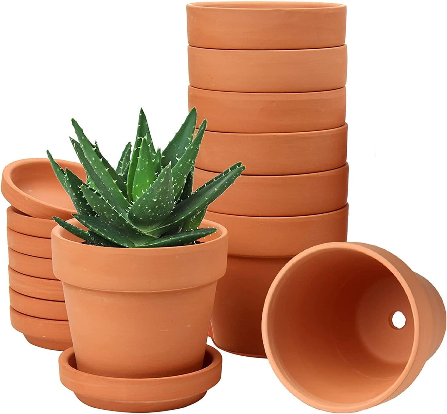 Hollyone Set di 8 fioriere piccole in terracotta, vasi rotondi in terracotta 8x8 cm con piatto e foro di drenaggio, fioriere piccole con vassoio, vasi per piante grasse in terracotta per piante da interno, fioriere in ceramica