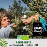 ORIGEENS BIO YERBA MATE TEA 200G - L'originale I Bio Yerba Mate non tostato, foglie, senza gambi, polvere e briciole I Bevanda energizzante e disintossicante