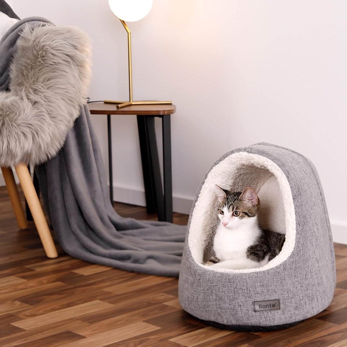 Coperte e Arredi, Animali Domestici, Grotte e Casette, Gatti, Letti per gatti, Gatti - Letti, materassi