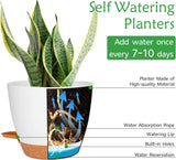 CSYY Set di 7 vasi da fiori in plastica con sistema di irrigazione 20,3/19/17,7/16,5/15,2/14/12,7 cm vasi autoirriganti e sottovaso per interni ed esterni