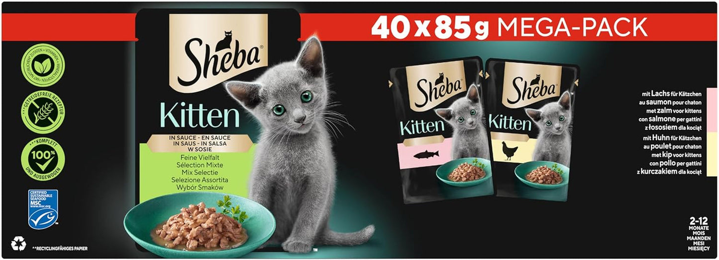 Sheba alimento umido per gattini, in bustine assortite, con salmone (MSC) e pollo in salsa, multipack 40x85g