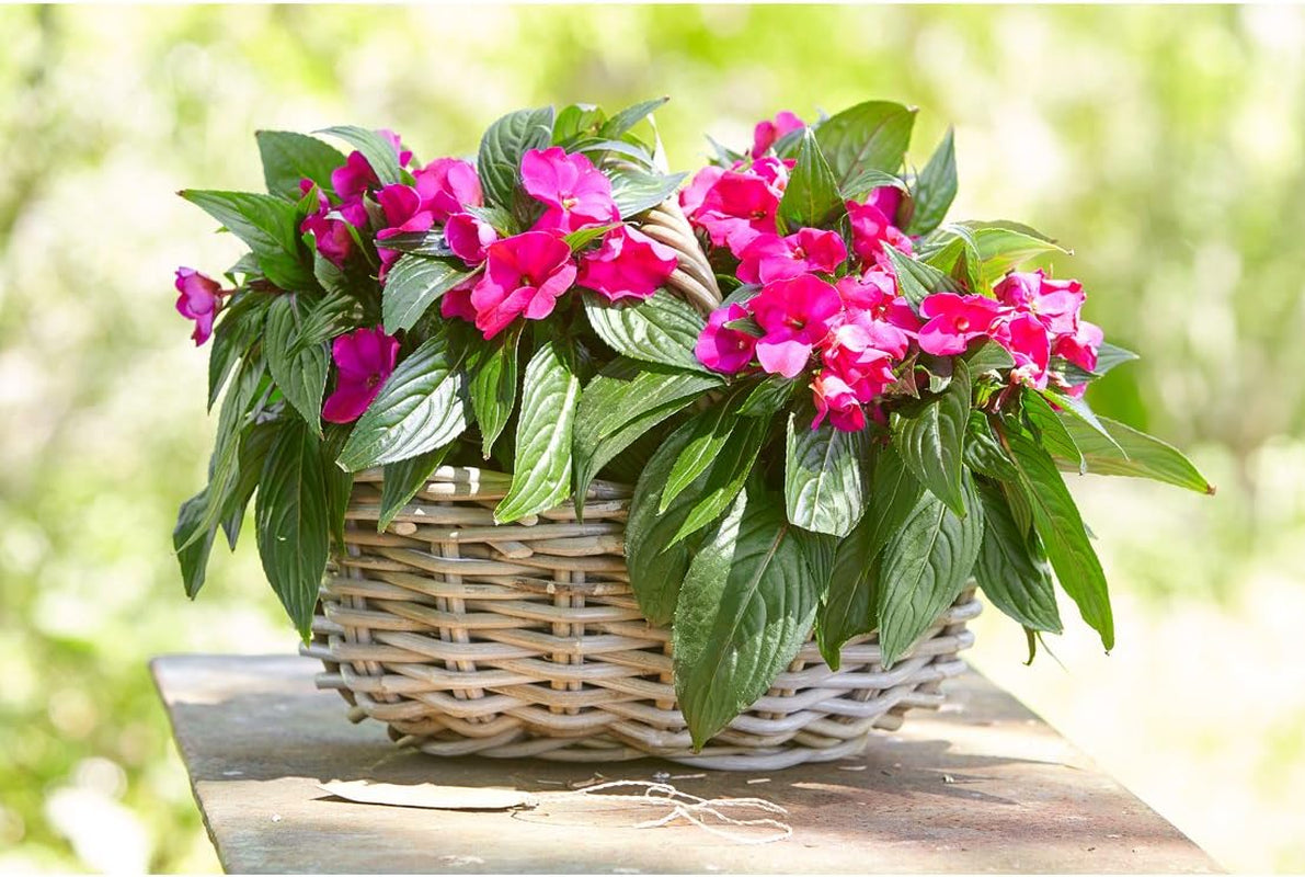 Cesto di fiori Dehner in rattan con manico, ca. 46 x 39 x 18 cm, tessuto in rattan, grigio/marrone