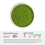 Terapia Matcha 30+ | Polvere di tè matcha biologico | 60 g| Con un contenuto verificato di almeno 30 mg/g di catechina EGCG | Supporta il sistema immunitario e i livelli di energia | Qualità cerimoniale | Tè verde dal Giappone