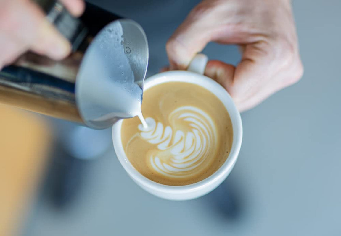 Espresso dal cuore selvaggio | 250 g di oca Bohnen equa e sostenibile | frisch geröstet | 100% Arabica Kaffeebohnen | caffè speciale | Kaffeerösterei da 19 grammi