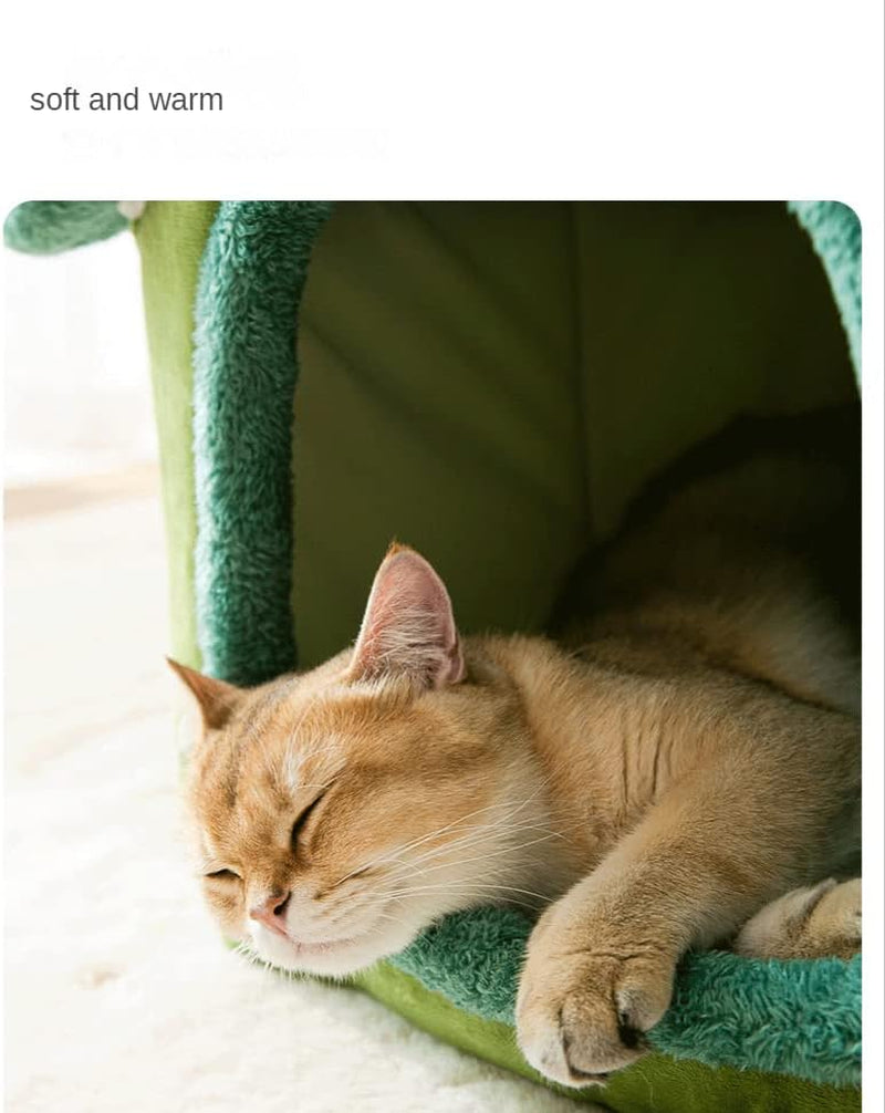 Coperte e Arredi, Animali Domestici, Grotte e Casette, Gatti, Letti per gatti, Gatti - Letti, materassi
