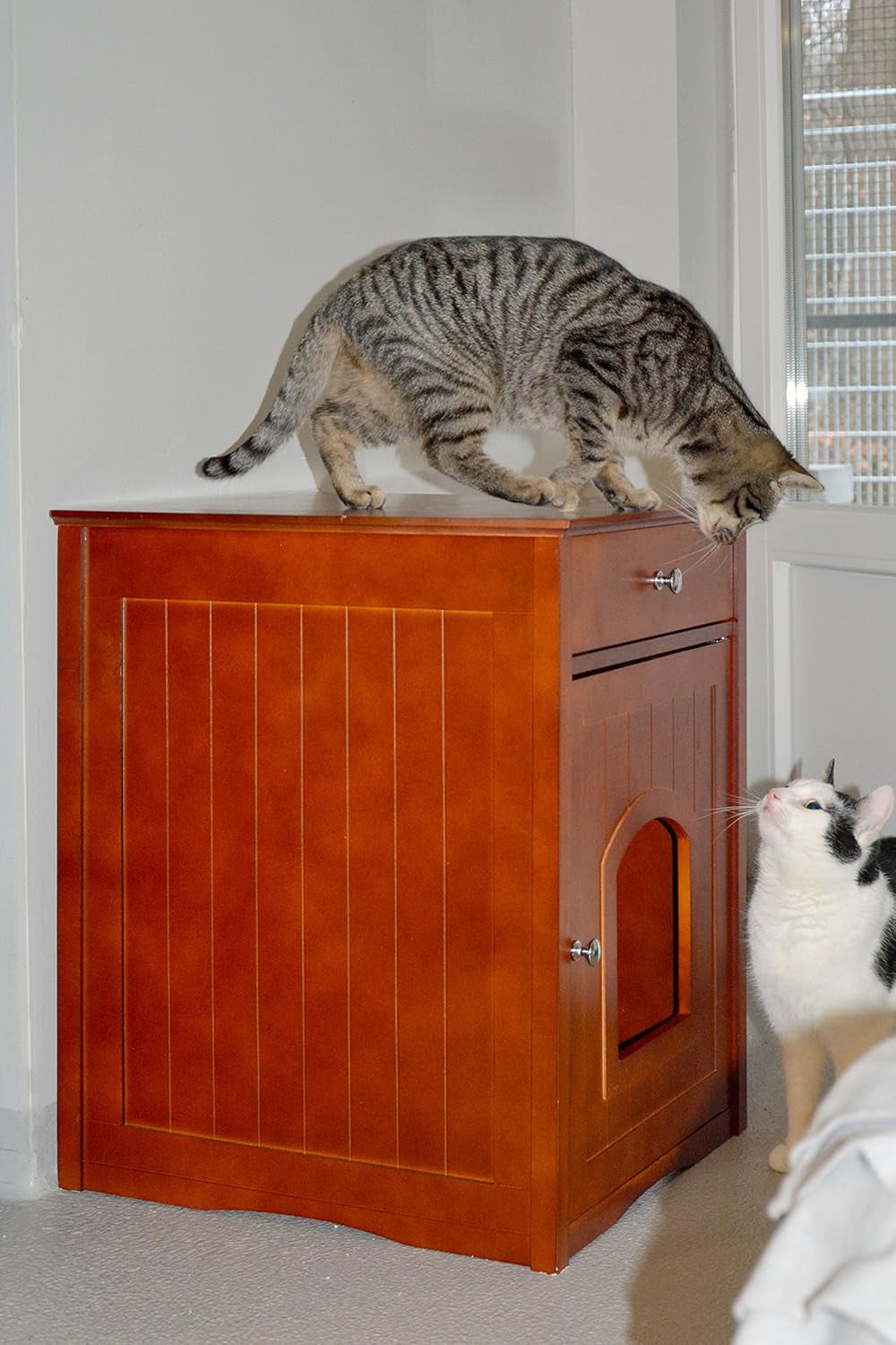 Coperte e Arredi, Animali Domestici, Grotte e Casette, Gatti, Letti per gatti, Gatti - Letti, materassi