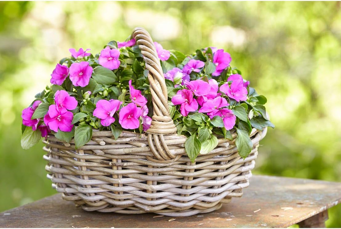 Cesto di fiori Dehner in rattan con manico, ca. 46 x 39 x 18 cm, tessuto in rattan, grigio/marrone