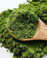 Tè verde biologico Matcha Umami in polvere - qualità premium, coltivato a Uji, Kyoto (Giappone) Da agricoltura biologica. 50 g