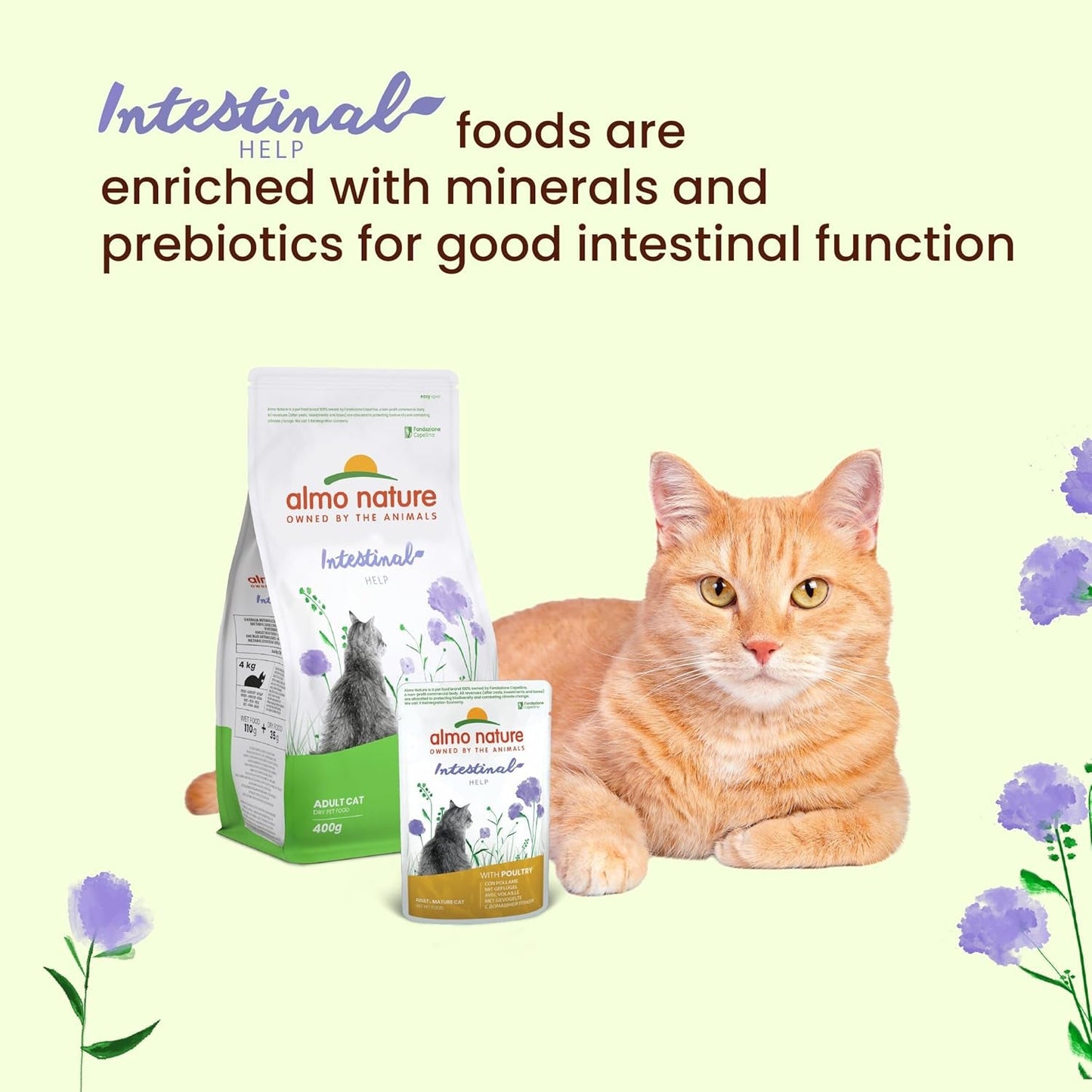 Almo Nature Functional - Intestinal Help - Alimento umido per gatti adulti e maturi con intestino sensibile - con pollame - sostiene il microbioma - 70 g (confezione da 30)