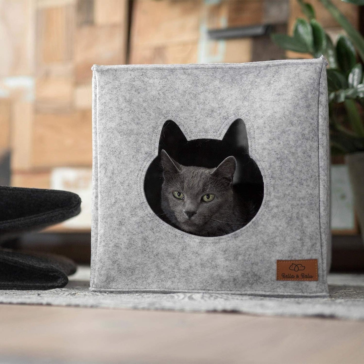 Coperte e Arredi, Animali Domestici, Grotte e Casette, Gatti, Letti per gatti, Gatti - Letti, materassi