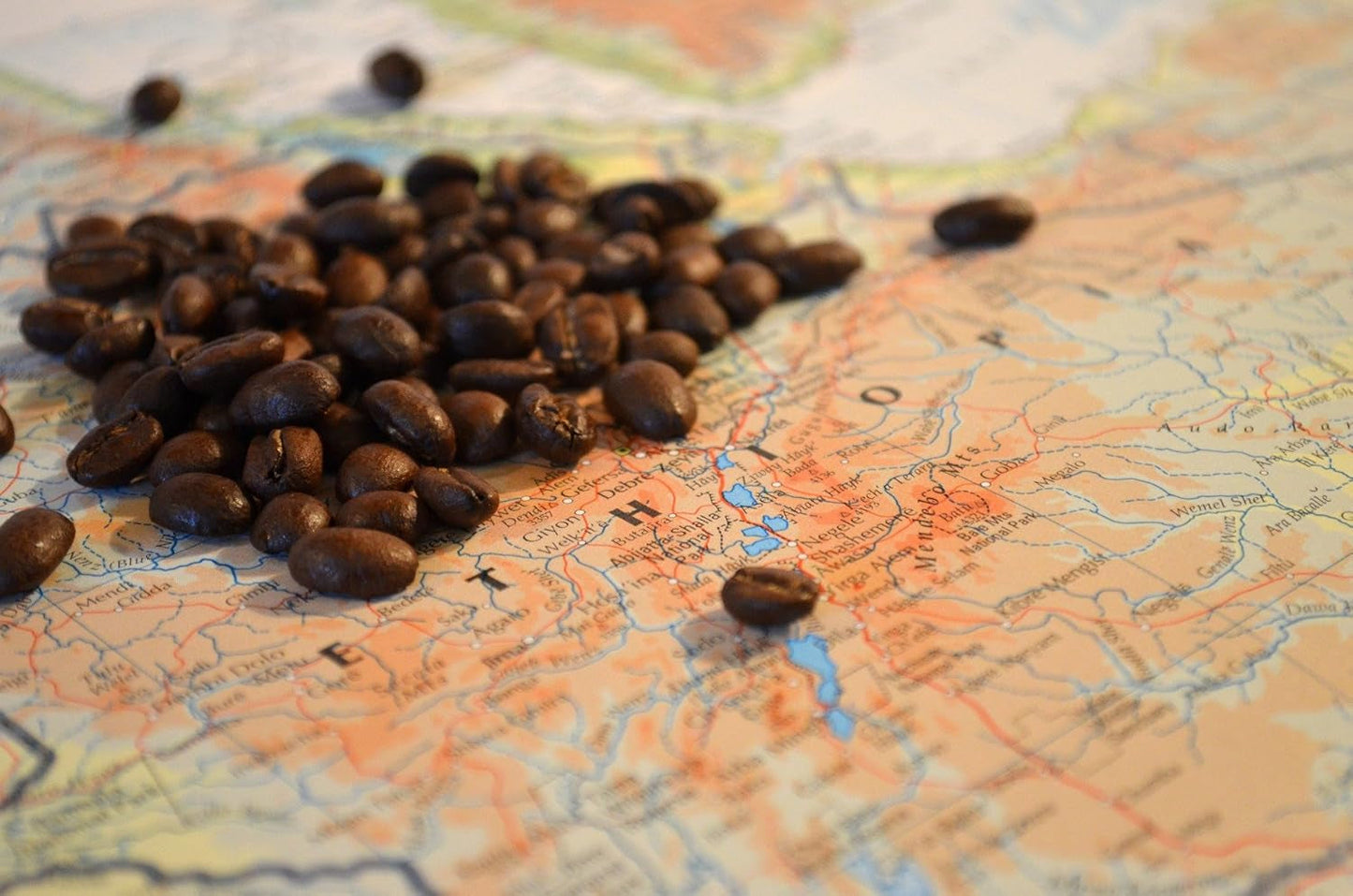 C&T Coffee Rarity - Caffè selvatico dall'Etiopia, Africa | 1000 g di caffè (in grani interi) - Forte e fruttato | + Coltivato selvatico + Raccolto a mano + Essiccato al sole + Leggermente tostato