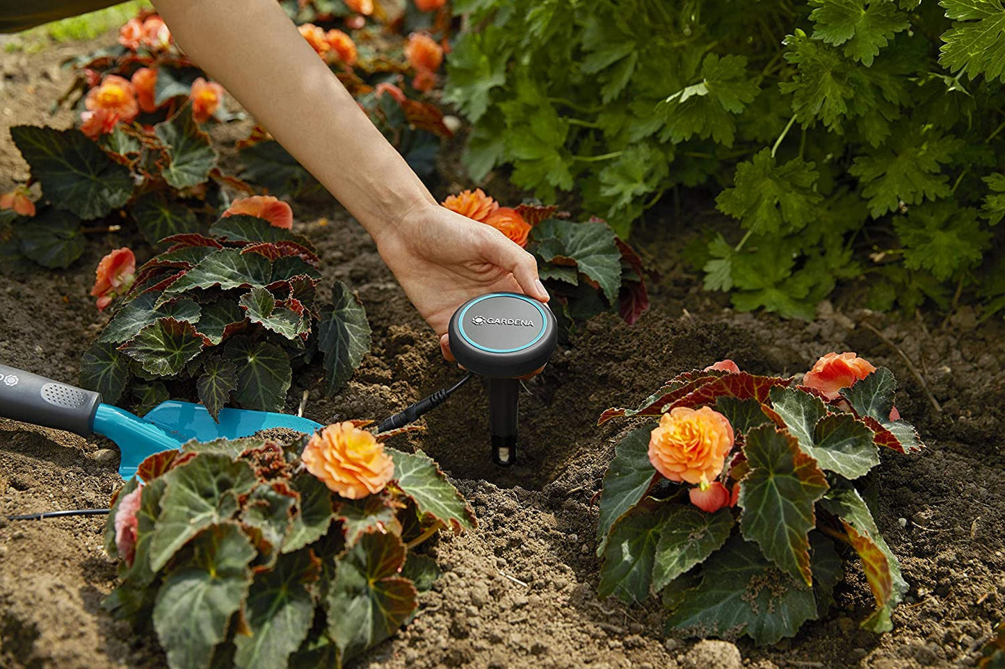 Cavo di prolunga Gardena (10 m) per sensore pioggia e sensore umidità del suolo, cavo di collegamento con sistema Easy Click, estensibile fino a 105 m, per uso sopra e sotto terra (01868-20)