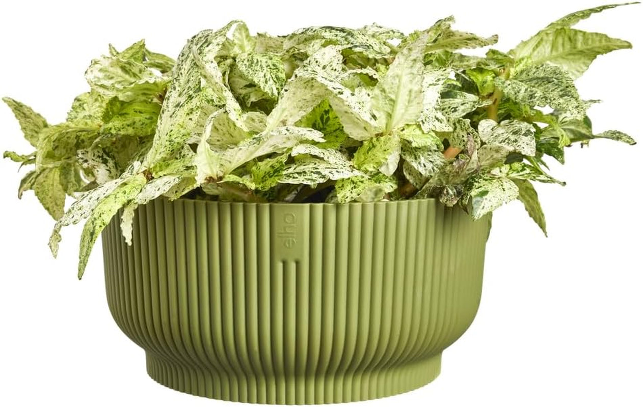elho Vibes Fold Bowl 25 - Vasi da fiori per interni - 100% plastica riciclata - Ø 24,9 x H 12,1 cm - Verde/Ferngrün