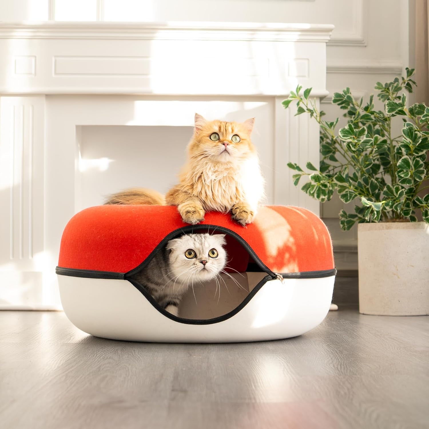 Coperte e Arredi, Animali Domestici, Grotte e Casette, Gatti, Letti per gatti, Gatti - Letti, materassi