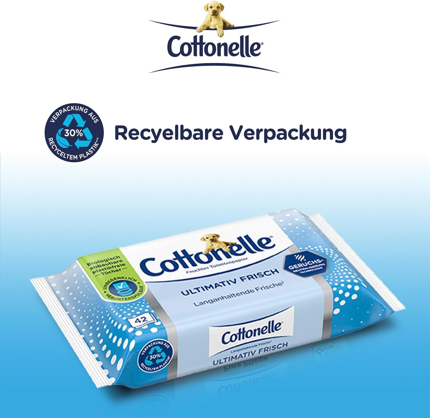 Salviette umidificate, Ultimate Fresh, 12 X 42 salviette, Tecnologia Deodycylx, Delicate sulla pelle, Senza alcool e coloranti, Sensibili, Biodegradabili