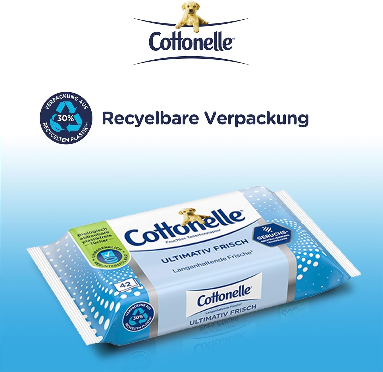 Salviette umidificate, Ultimate Fresh, 12 X 42 salviette, Tecnologia Deodycylx, Delicate sulla pelle, Senza alcool e coloranti, Sensibili, Biodegradabili