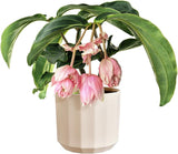 Vaso rotondo elho Facet 23 cm - per uso interno - 100% plastica riciclata - Ø 22,7 x H 20,4 cm - Rosa/Rosa mandorla