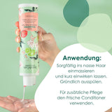 Jean & Len Green Tea & Lime shampoo idratante, per capelli da normali a grassi, 300 ml Doccia e bagno Jean & Len Green Tea & Lime