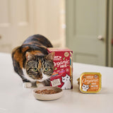 Lily's Kitchen Cibo umido per gatti adulti con ingredienti naturali, confezione multivassoio, senza cereali biologici, 4 x (8 x 85 g)
