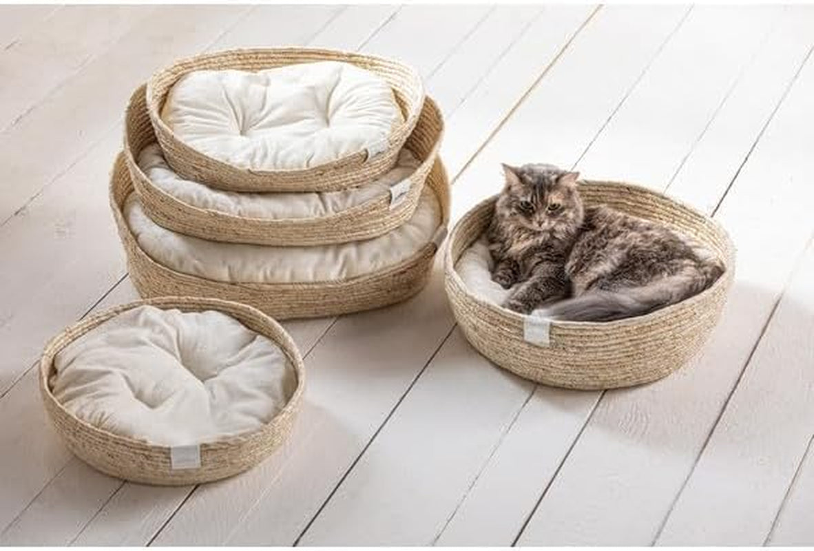 Letti, coperte e mobili, Animali domestici, Gatti, Cucce per gatti, Gatti - Letti, materassi