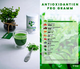 Terapia Matcha 30+ | Polvere di tè matcha biologico | 60 g| Con un contenuto verificato di almeno 30 mg/g di catechina EGCG | Supporta il sistema immunitario e i livelli di energia | Qualità cerimoniale | Tè verde dal Giappone