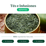 Tè verde giapponese Gyokuro biologico (100 g) | Tè sfuso premium | Gusto umami raffinato e dolcezza delicata | RIPIANTARE