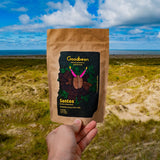 Santo | Caffè in grani 2500g - 100% Arabica dal Brasile | per espresso, cappuccino o caffè filtrato forte | Omni Arrosto | Caffè classico: l'introduzione perfetta al caffè speciale