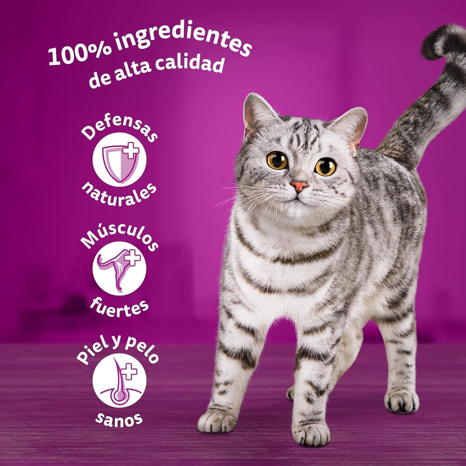 Whiskas Nassfutter für ausgewachsene Katzen, Fischauswahl in Jelly (confezione multipla, 4 x 12 x 85 g)